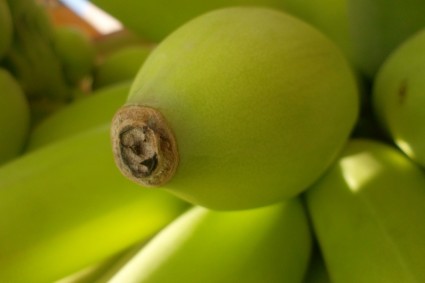 punta di banane verdi