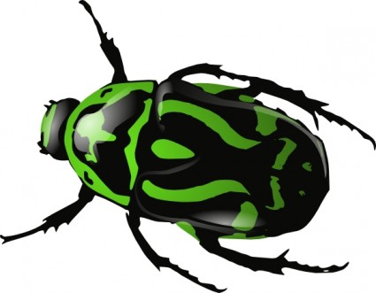 clip art de escarabajo verde