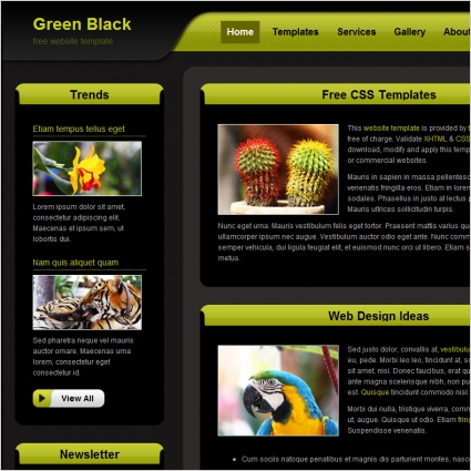 zielony czarne