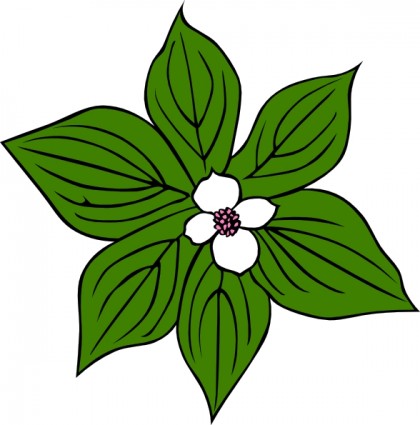 зеленый цветок картинки