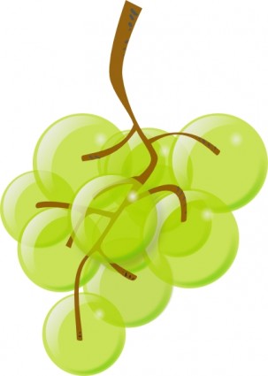 clipart de uvas verdes