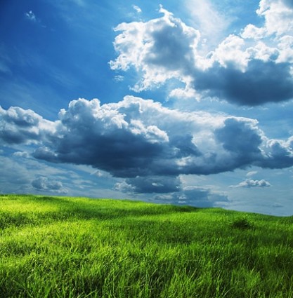 trawa zielony niebieski niebo obraz