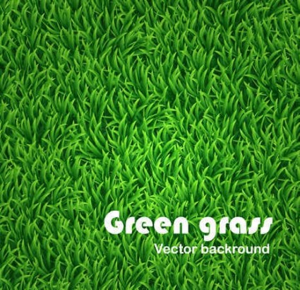 sfondo vettoriale di erba verde