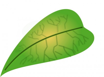 foglia verde