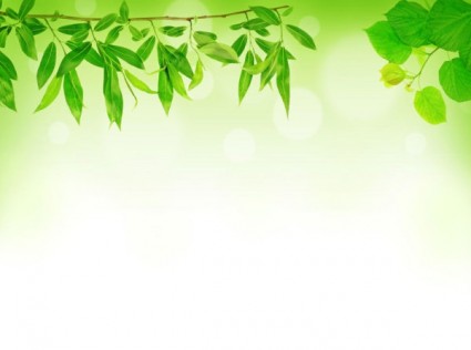 Green Leaf Background Hd Picture