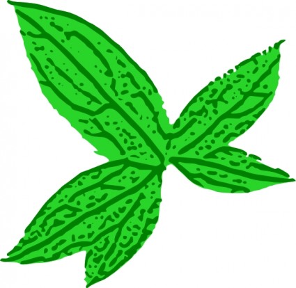 녹색 잎 클립 아트