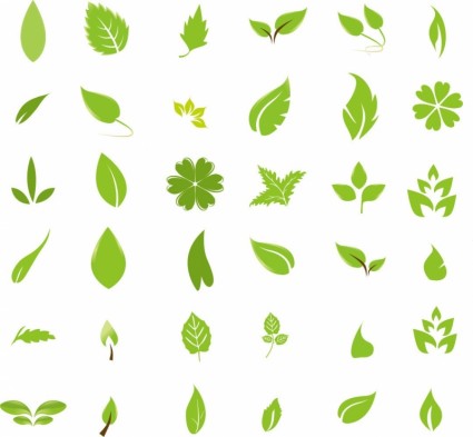 elementy projektu zielony liść