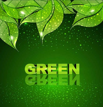 Зеленый лист Векторный фон
