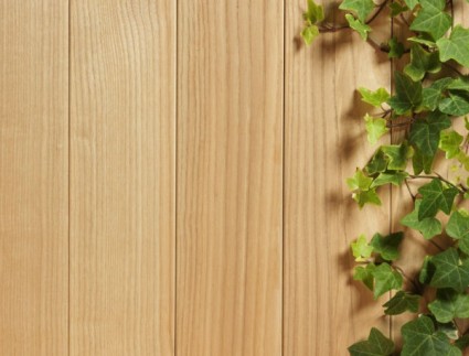 grün belaubten Holz-Hintergrund-hd-Bild