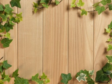imagen de fondo de madera frondoso verde hd