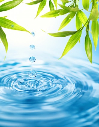 las gotas de agua de hojas verdes ripple imagen de hd