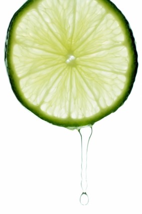绿色柠檬片清晰图片