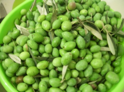 Оливки зелёные