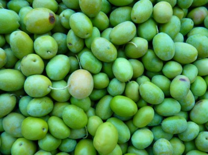 grüne Oliven Oliven unreif