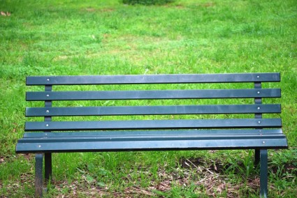 băng ghế công viên cây xanh