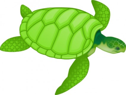 السلاحف البحرية الخضراء قصاصة فنية