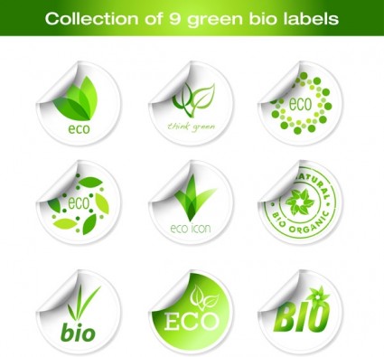 vector de icono de etiqueta verde