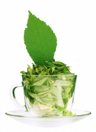 imagen de alta definición de té verde