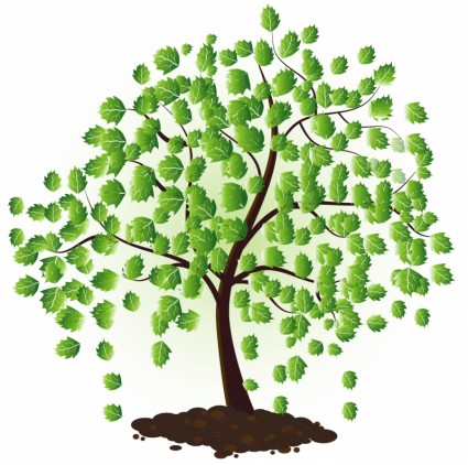 árbol verde