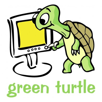 zielony żółw
