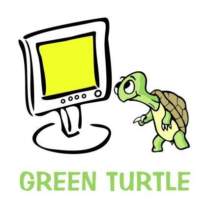 zielony żółw