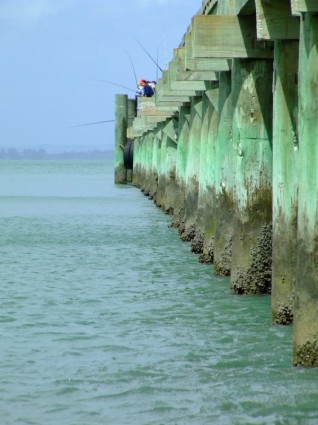 zielony wharf cornwallis