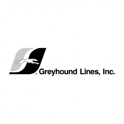 garis-garis Greyhound