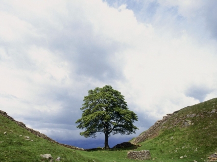 Hadrian s Wand Tapete England Welt