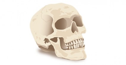 vector cráneo de Halloween