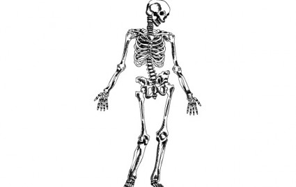squelette dessiné à la main