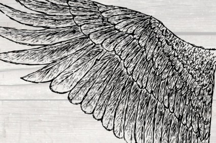 手工繪製的翅膀