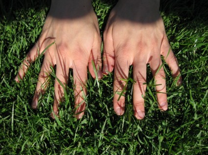hierba de manos de mano