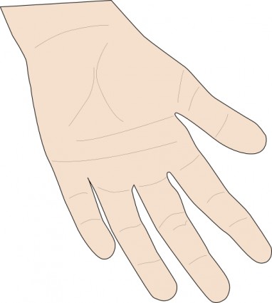 Hand-Palm-ClipArt-Grafik