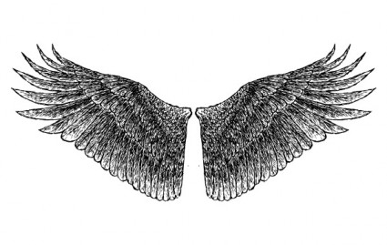 skrzydła Handdrawn