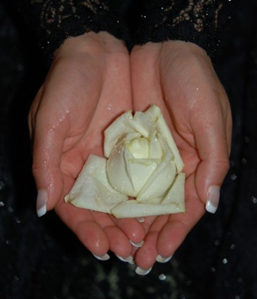 mano de rosas de manos