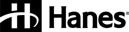 ヘインズ logo2