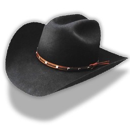 cowboy chapeau noir