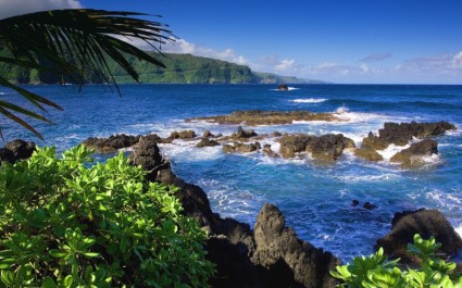 Гавайи живописный океан