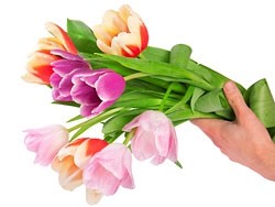 Hd Bouquet Picture Hd Pictures