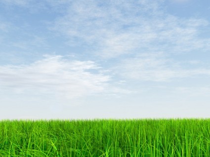 HD Bild frisch blauer Himmel und Gras