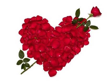 Heartshaped Rose Petals Stock Photo
