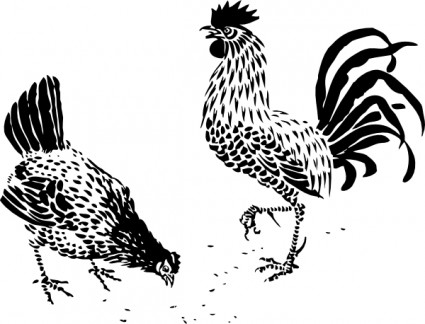 dan rooster Hen clip art