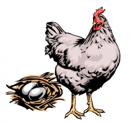 vetor de galinha