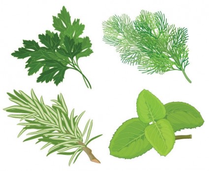 herbal daun vektor