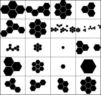 Hexagon sikat