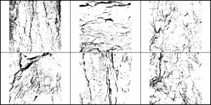 高解像度の木の樹皮のテクスチャ ブラシ