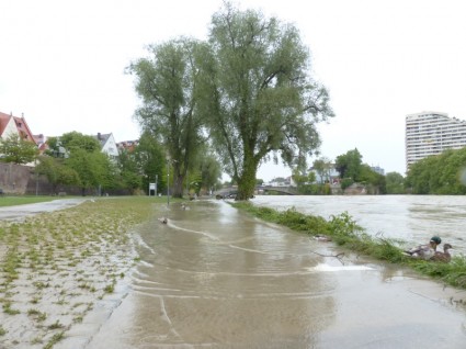 Hochwasser-Donau-ulm