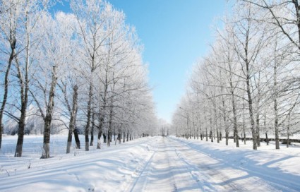 imagen de alta definición del paisaje de invierno