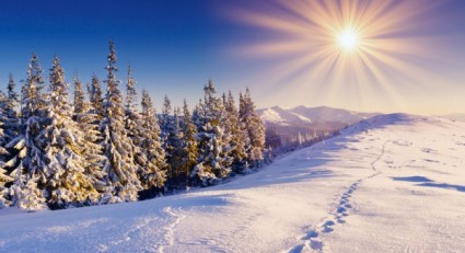 photo haute définition du paysage hiver