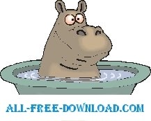 Hippo mandi